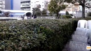 国产高清在线精品一区二区三区_亚洲视频一区二区三区_一区视频V888JAV